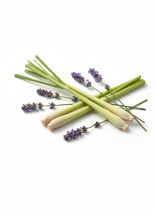 Uplift Aromatherapy Diffuser Oil